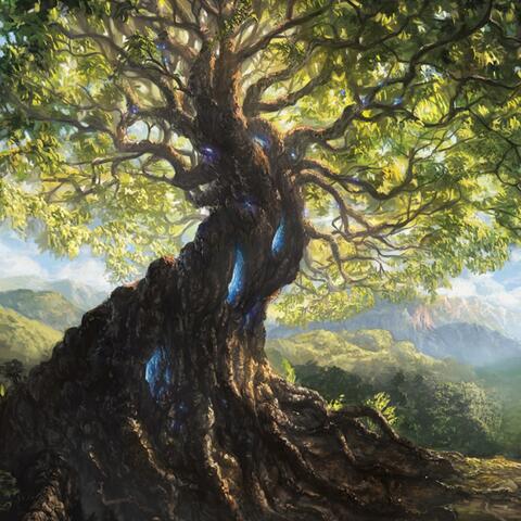 Nature Bestowed