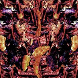 Demons from Other Worlds Are at the Gate of My Sanity
