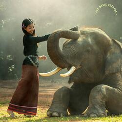 ក្រមុំដណ្តឺងម្តាយ