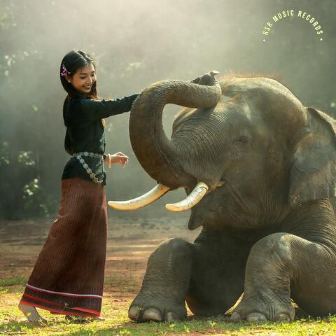 ក្រមុំដណ្តឺងម្តាយ