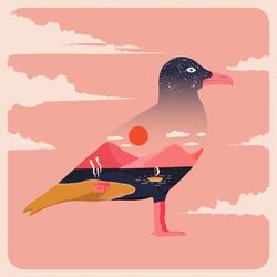 Seagull