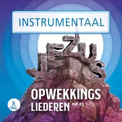Onze schuilplaats is God (847)