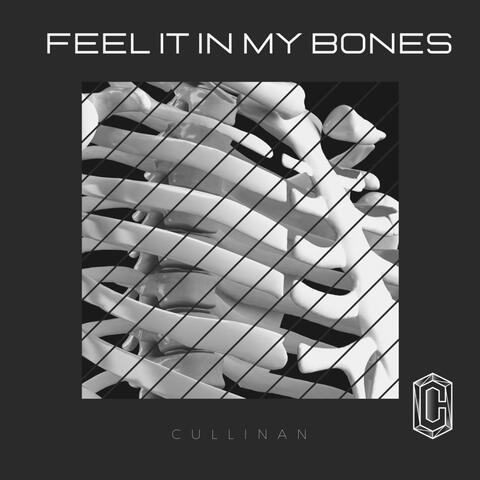 Feel It in My Bones
