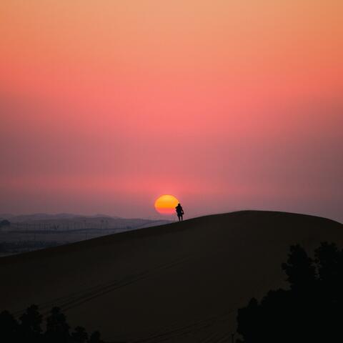 Reminiscence