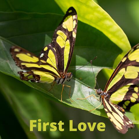First Love
