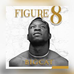 Figure 8