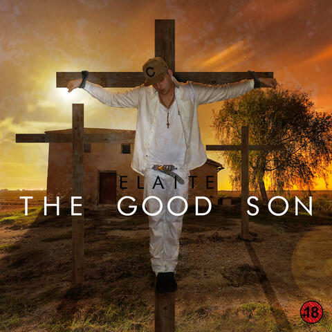 The Good Son