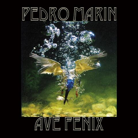Ave Fenix