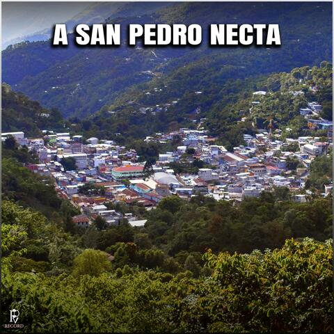 A San Pedro Necta