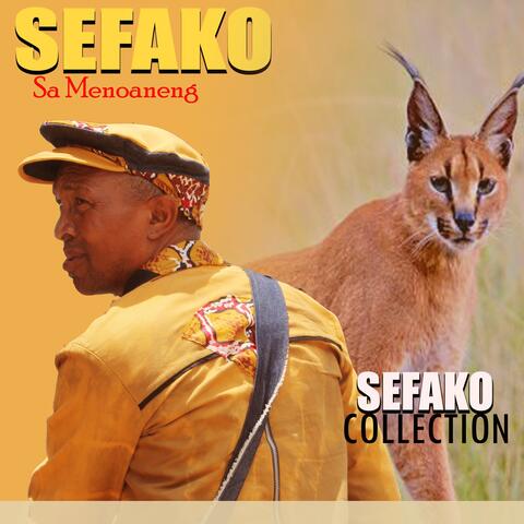 Sefako Collection