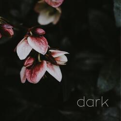 Dark