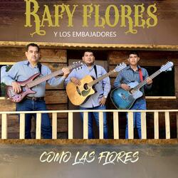 Cómo las Flores
