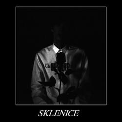Sklenice