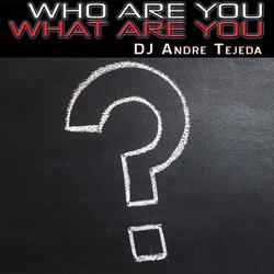 Who Are You What Are You?