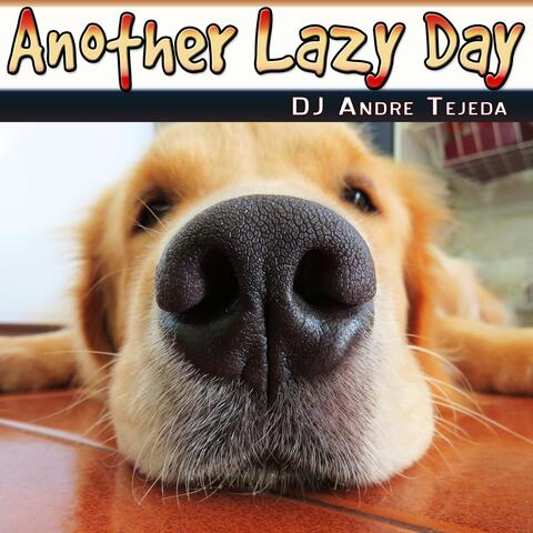 Another Lazy Day