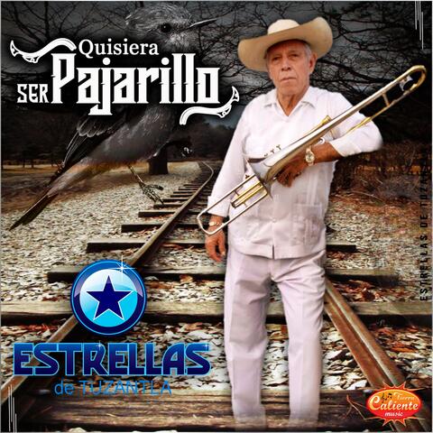 Quisiera Ser Pajarillo