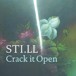 Crack It Open