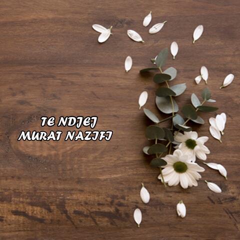 Te ndjej
