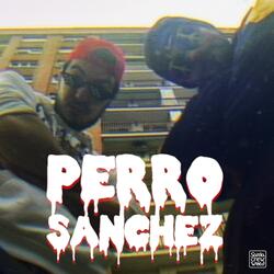 Perro Sánchez