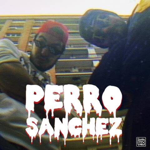 Perro Sánchez