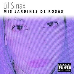 Mis jardines de rosas