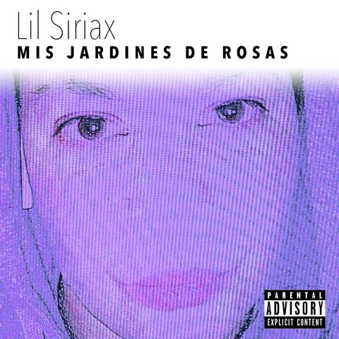 Mis jardines de rosas