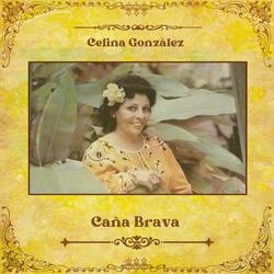 Caña Brava