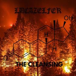 The Cleansing