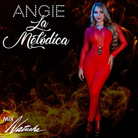 Mix Natusha: Tú la Tienes Que Pagar / Dame un Besito / Él la Engañó / Cóseme los Pantalones