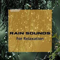 Early Morning Rain (Loopable)