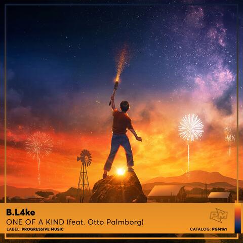 One of a Kind