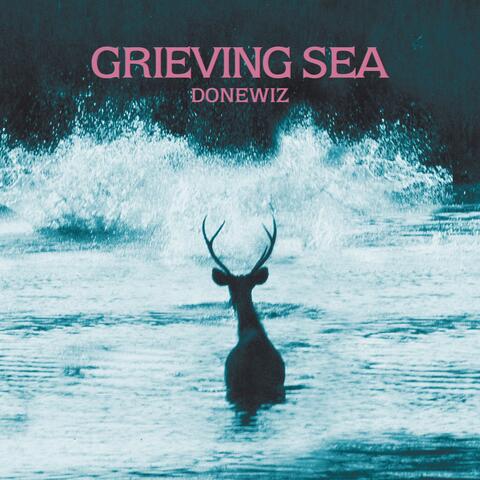 Donewiz