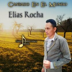 Fiesta de Bendición