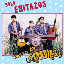 Mis Tiempos Pasados