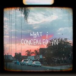 what i concealed in