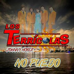 Sueño con volverte a ver