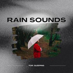 Oslo Castle Rain Sound