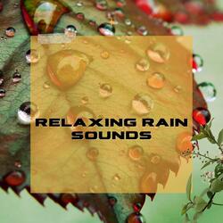 New York Rain Sound