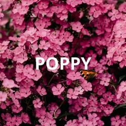 Poppy