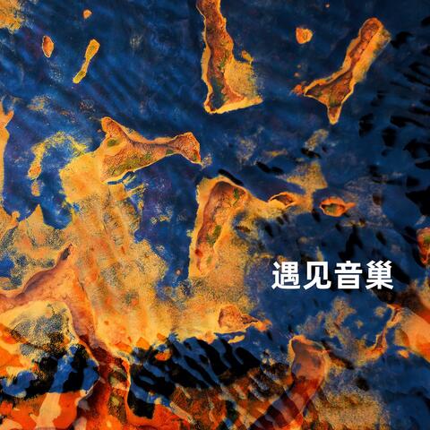 遇见音巢