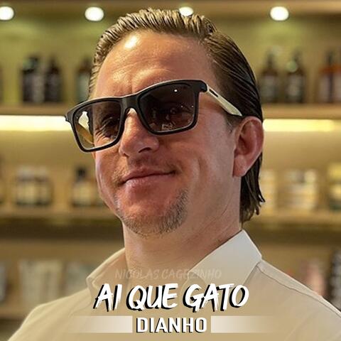 Ai que gato Nicolas Cagezinho