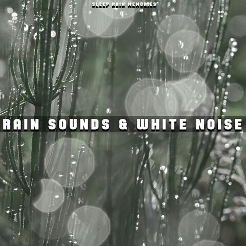Rain Sounds & White Noise