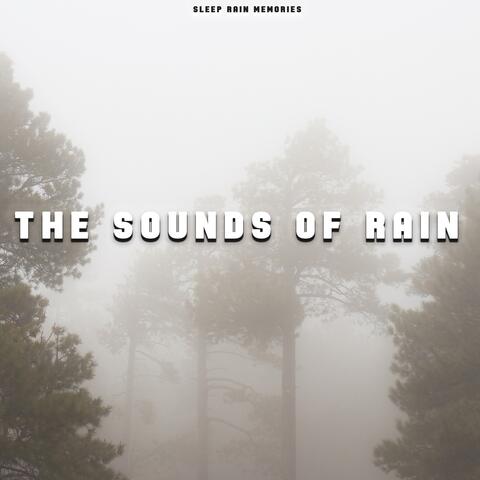 The Sound of Rain