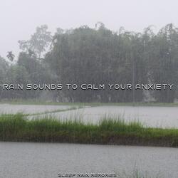 Rain Sounds for Calming Effect