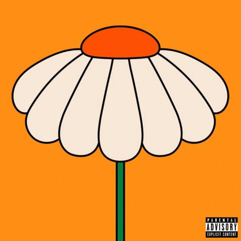 Name of the Song