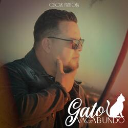 Gato Vagabundo