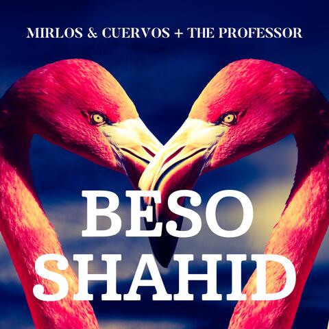 Beso Shahid