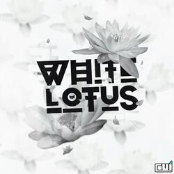 White Lotus