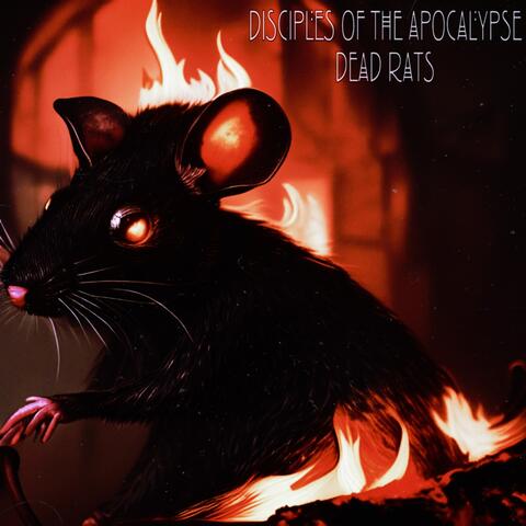 Dead Rats
