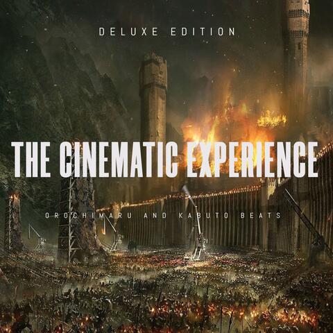 The Cinematic Experience